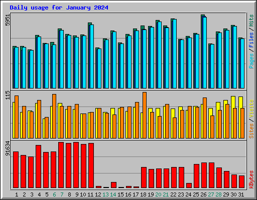 Daily usage for January 2024