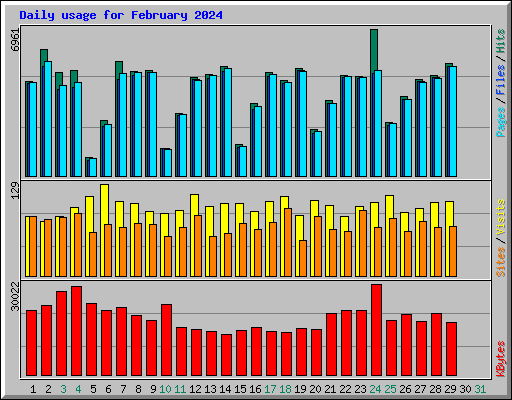 Daily usage for February 2024