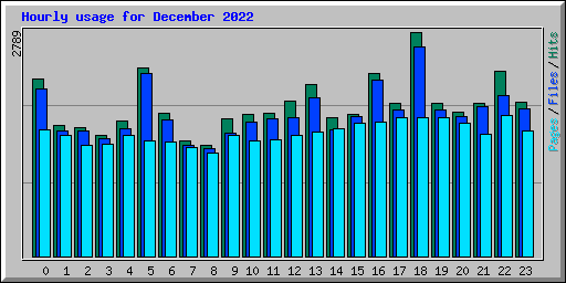 Hourly usage for December 2022