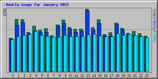 Hourly usage for January 2023