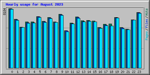 Hourly usage for August 2023