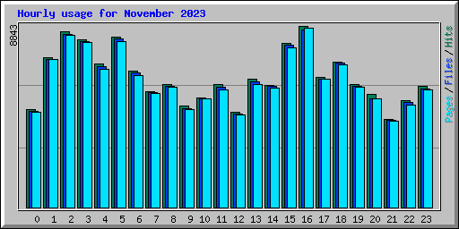 Hourly usage for November 2023