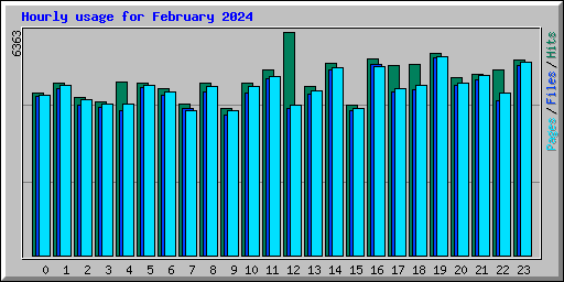 Hourly usage for February 2024