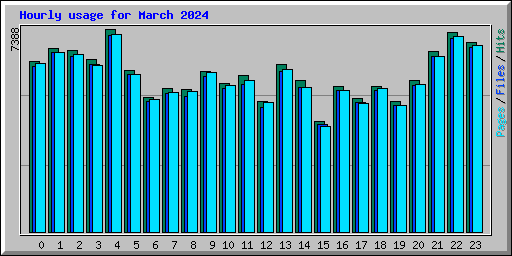Hourly usage for March 2024