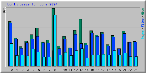 Hourly usage for June 2024