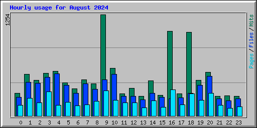Hourly usage for August 2024