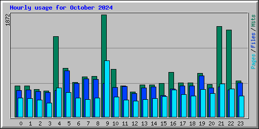 Hourly usage for October 2024