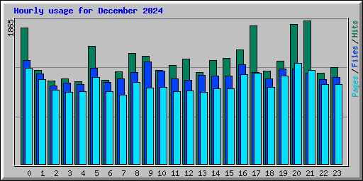 Hourly usage for December 2024