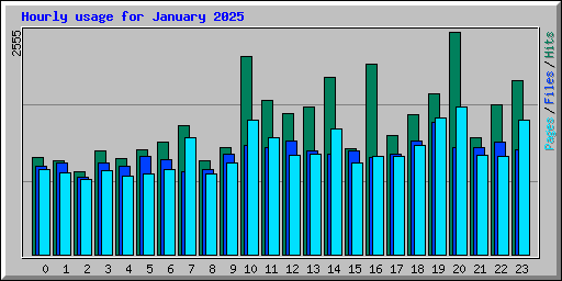 Hourly usage for January 2025