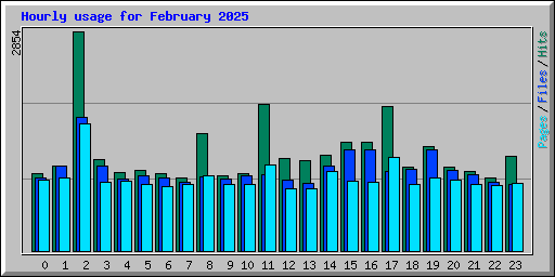 Hourly usage for February 2025
