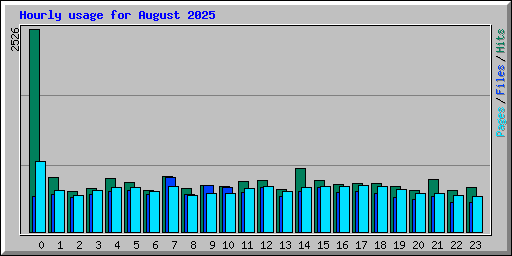 Hourly usage for August 2025